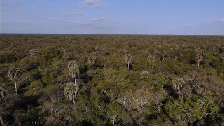 El Espinal, la región en donde se proyectó el Parque Nacional Selva de Montiel