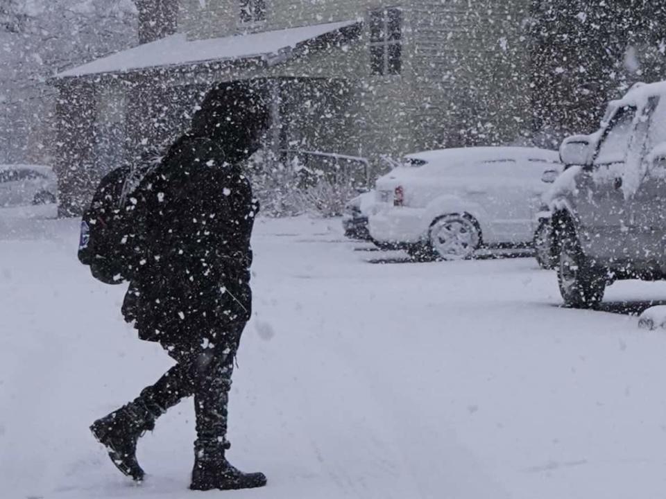 Up to 25 centimetres of snow could fall in northern New Brunswick by Tuesday morning, says CBC meterologist Tina Simpkin. (Craig Paisley/CBC - image credit)