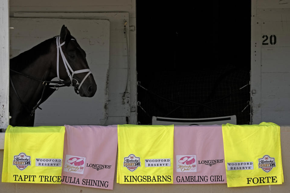 A horse walks past saddle blankets at trainer Todd Pletcher's barn at Churchill Downs Thursday, May 4, 2023, in Louisville, Ky. The 149th running of the Kentucky Derby is scheduled for Saturday, May 6. (AP Photo/Charlie Riedel)