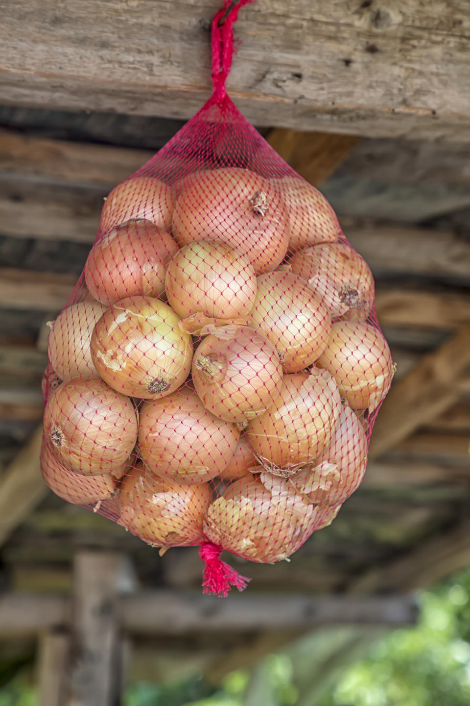 a bag of onions dangling at a market