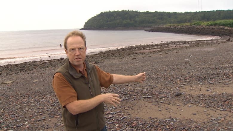 Sand Cove resident wants sea wall removed in erosion battle