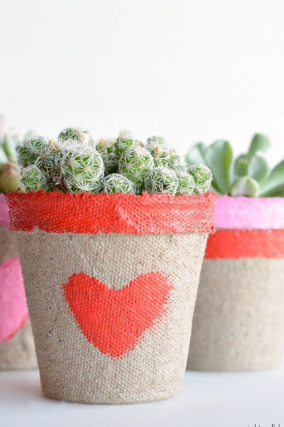 DIY Heart Succulent Pots