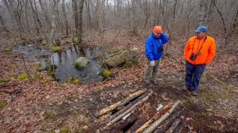 Jeff Hall, executive director of Audubon of Rhode Island with Scott Ruhren, senior director of conservation, left, walking through Congdon Wood.