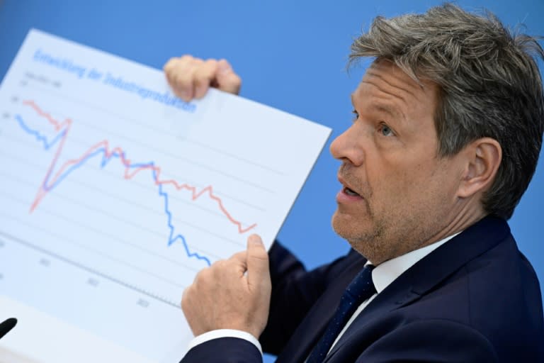 German Economy Minister Robert Habeck presents the government's economic forecasts (JOHN MACDOUGALL)