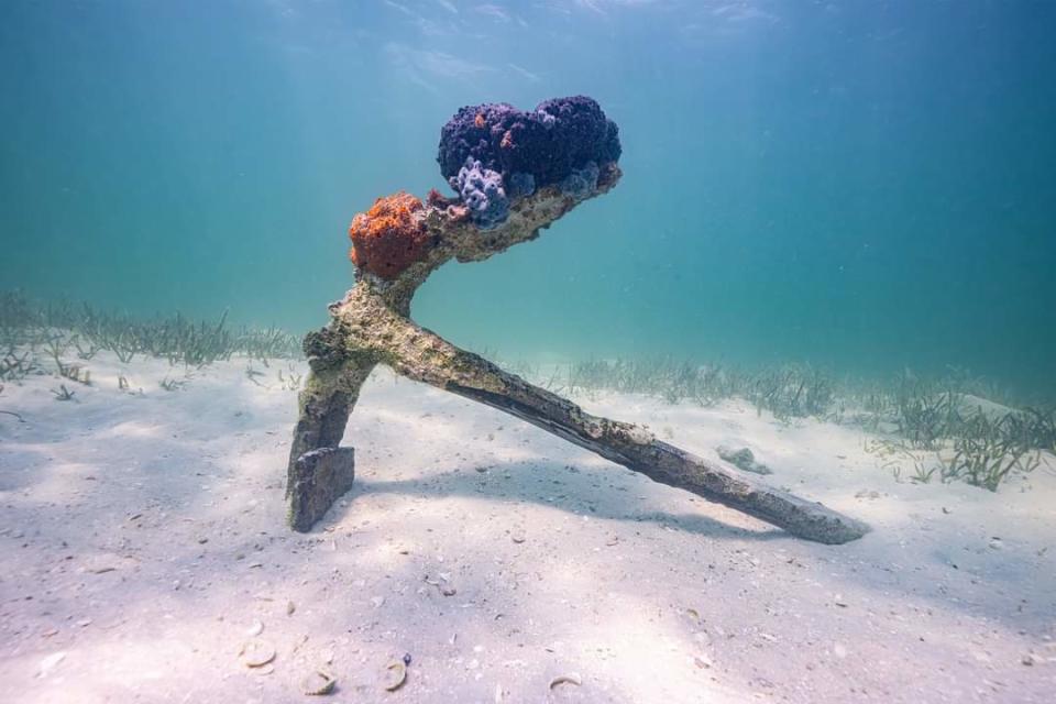 The St. Lucie steamship's anchor was found in 13 feet of water in Biscayne Bay National Park near Elliott Key in July 2023. The ship wrecked in a 1906 hurricane.