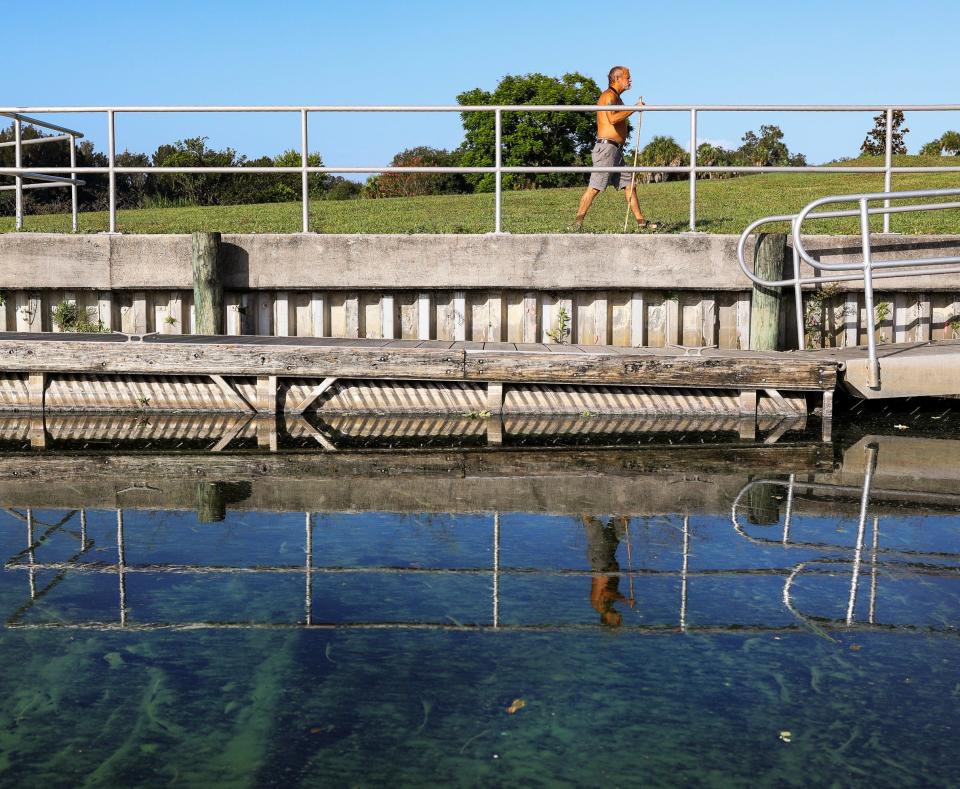 Mike LeCompte, of Indiantown, walks near toxic algae at the Timer Powers Park boat ramp during his routine walks, Wednesday, Aug. 9, 2023, at 14100 S.W. Citrus Blvd. in Indiantown. "It concerns me," said LeCompte. "I saw the first signs a couple weeks ago, it's nasty." The state found 800 micrograms per liter of microcystis aeruginosa in the cyanobacteria, commonly called blue-green algae, according to water samples the Department of Environmental Protection took Aug. 3.