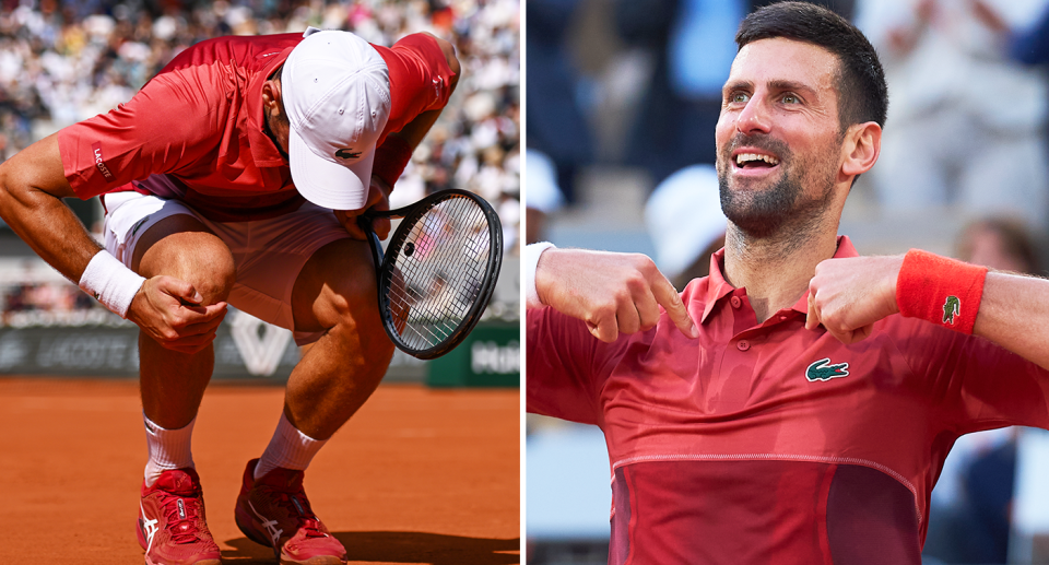 Novak Djokovic - Figure 2