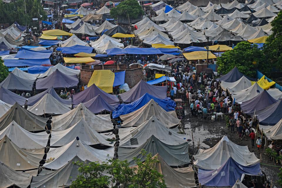 (Photo by ARUN SANKAR/AFP via Getty Images)