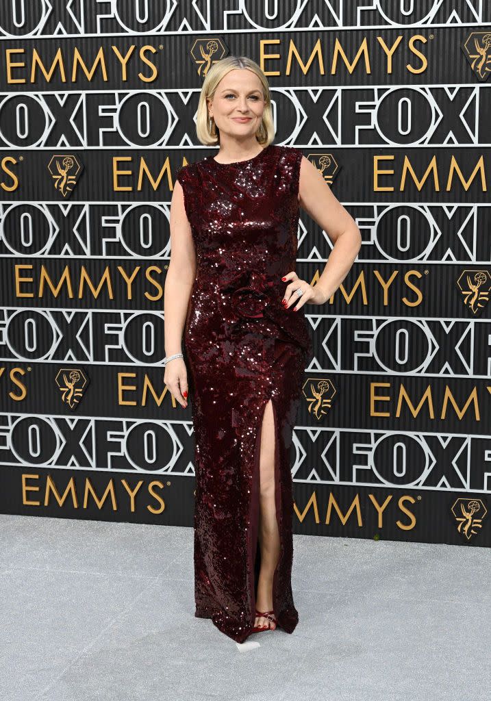 amy poehler at the 75th primetime emmy awards held at the peacock theater on january 15, 2024 in los angeles, california photo by gilbert floresvariety via getty images