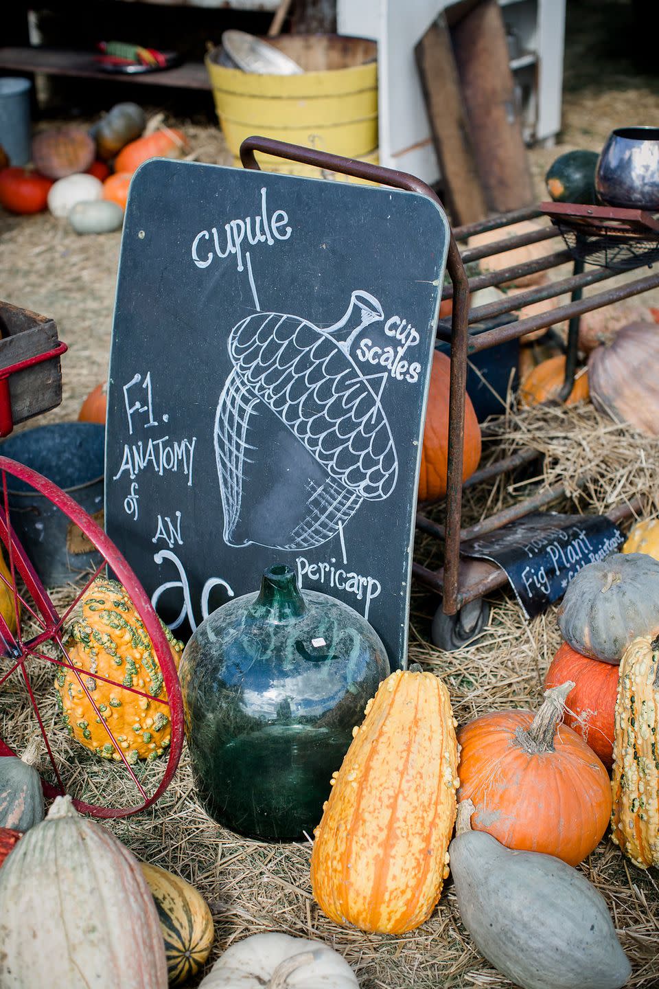 A Peek Inside the 2015 Country Living Fair in Columbus, Ohio