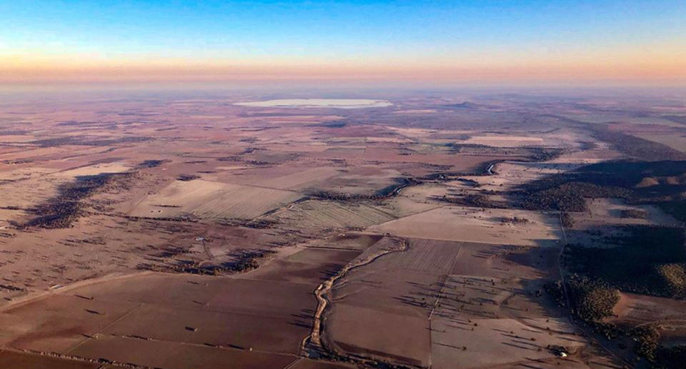 NSW drought photo looking south towards Lake Cowal, south of Forbes on August 14. Source: Farmer From Down Under Photography/ Facebook