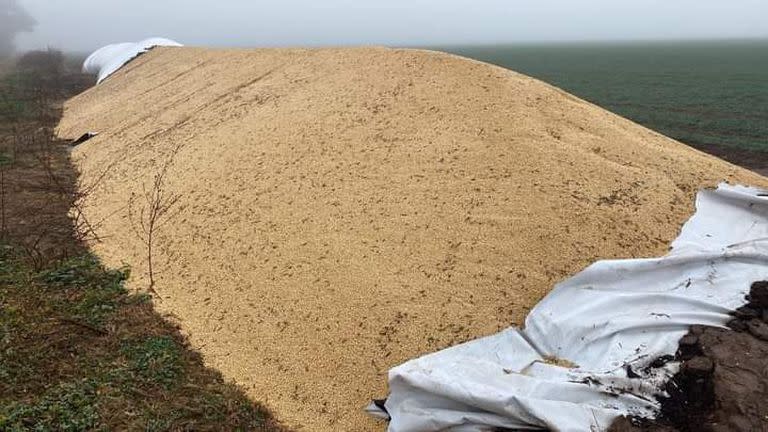 Silobolsa vandalizado en la zona de Casilda. La llegada de Massa terminó con el discurso crítico hacia el campo de Cristina Kirchner y de Alberto Fernández, creó un tipo de cambio nuevo y aparecieron los dólares de los productores que trajeron la paz cambiaria de la semana pasada.