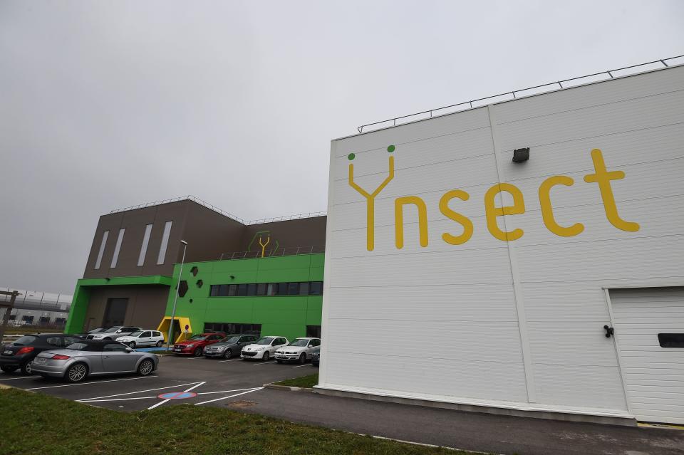 Ynsect plans to use the raised capital to breed mealworms that produce proteins for livestock, pet food and fertilisers. Photo: Sebastien Bozon/AFP via Getty Images