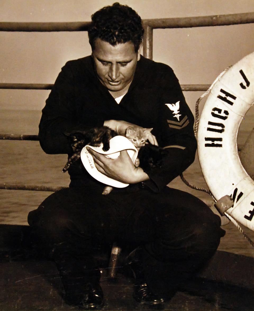 A Navy man holds a group of small cats.