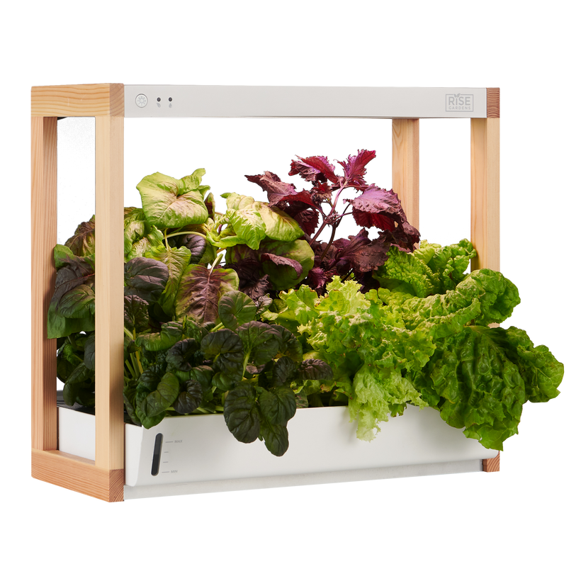 <p><a href="https://go.redirectingat.com?id=74968X1596630&url=https%3A%2F%2Frisegardens.com%2Fproducts%2Fpersonal-indoor-garden&sref=https%3A%2F%2Fwww.townandcountrymag.com%2Fleisure%2Fg45847728%2Fbest-gifts-for-gardeners%2F" rel="nofollow noopener" target="_blank" data-ylk="slk:Shop Now;elm:context_link;itc:0;sec:content-canvas" class="link ">Shop Now</a></p><p>Personal Rise Garden</p><p>risegardens.com</p><p>$303.00</p>