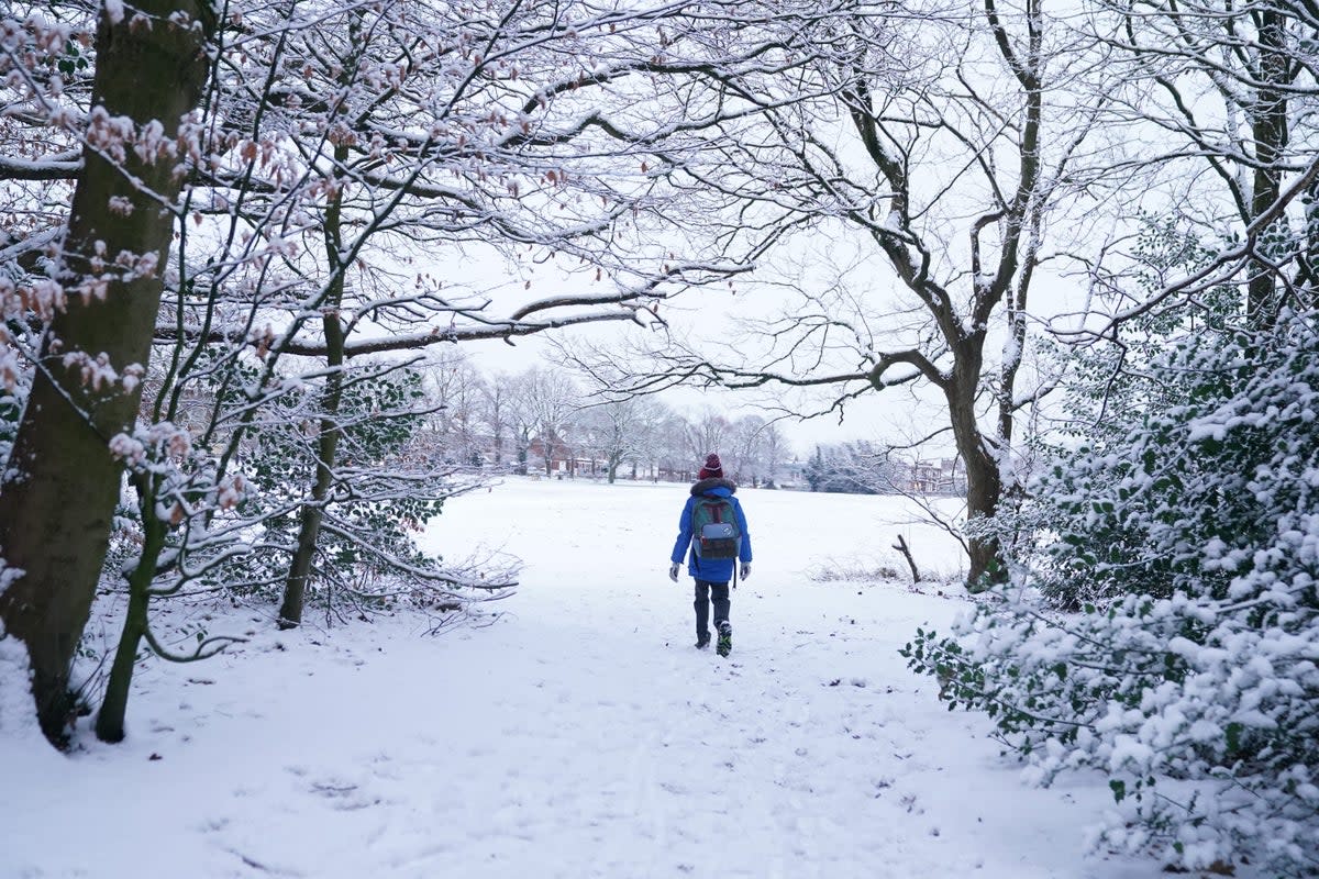 Further weather warnings have been issued as an Arctic blast hits Britain  (Martin Rickett / PA)