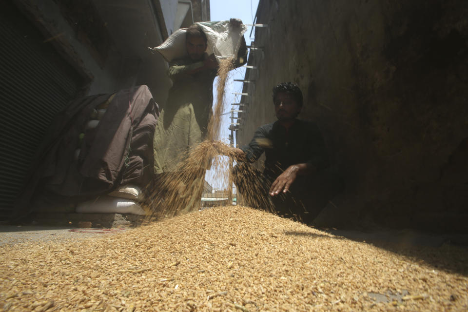 Workers sort the wheat at a market in Peshawar, Pakistan, on Wednesday, July 26, 2023. (AP Photo/Mohammad Sajjad)