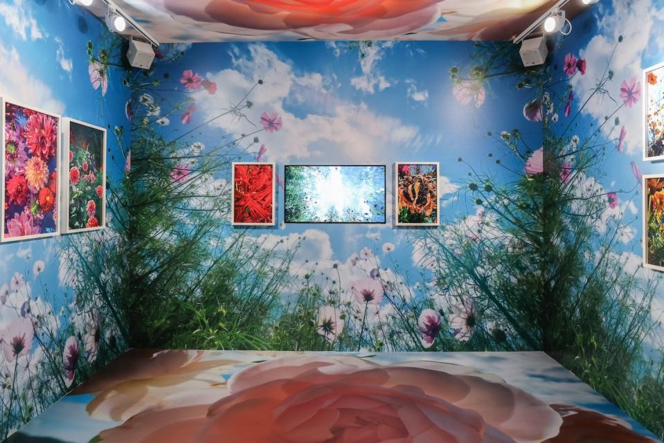 I Remember You_ Photography Exhibition — Mika Ninagawa 3 (Credit_ BFA _ Pierrick Rocher)