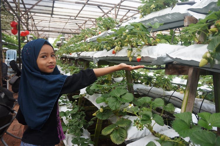 A young girl mimes holding a strawberry in her palm