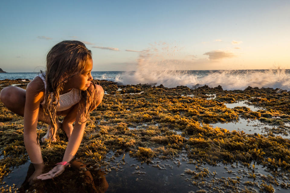 Photo credit: Cristina Mittermeier