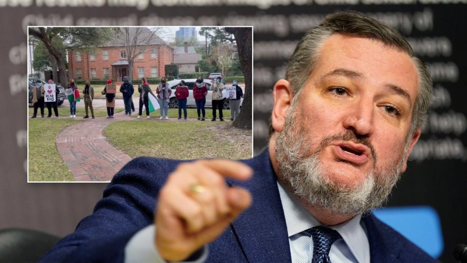 Ted Cruz in main image, anti-Israel agitators in left inset photo