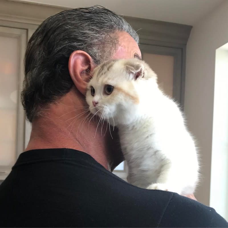 <p>The <em>Rocky</em> star couldn’t resist showing off his adorable Pegkens Scottish Fold kitten<em>: “</em>The newest family member! MABEL.” Aww. (Photo: <a rel="nofollow noopener" href="https://www.instagram.com/p/BUKvRwUjwbG/" target="_blank" data-ylk="slk:Sylvester Stallone via Instagram;elm:context_link;itc:0;sec:content-canvas" class="link ">Sylvester Stallone via Instagram</a>) </p>