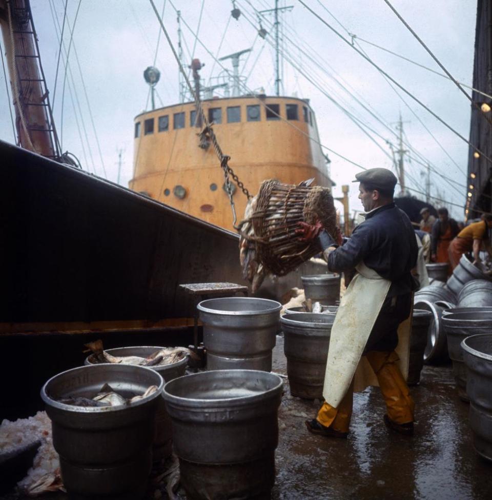 A catch being landed at Hull in 1967.