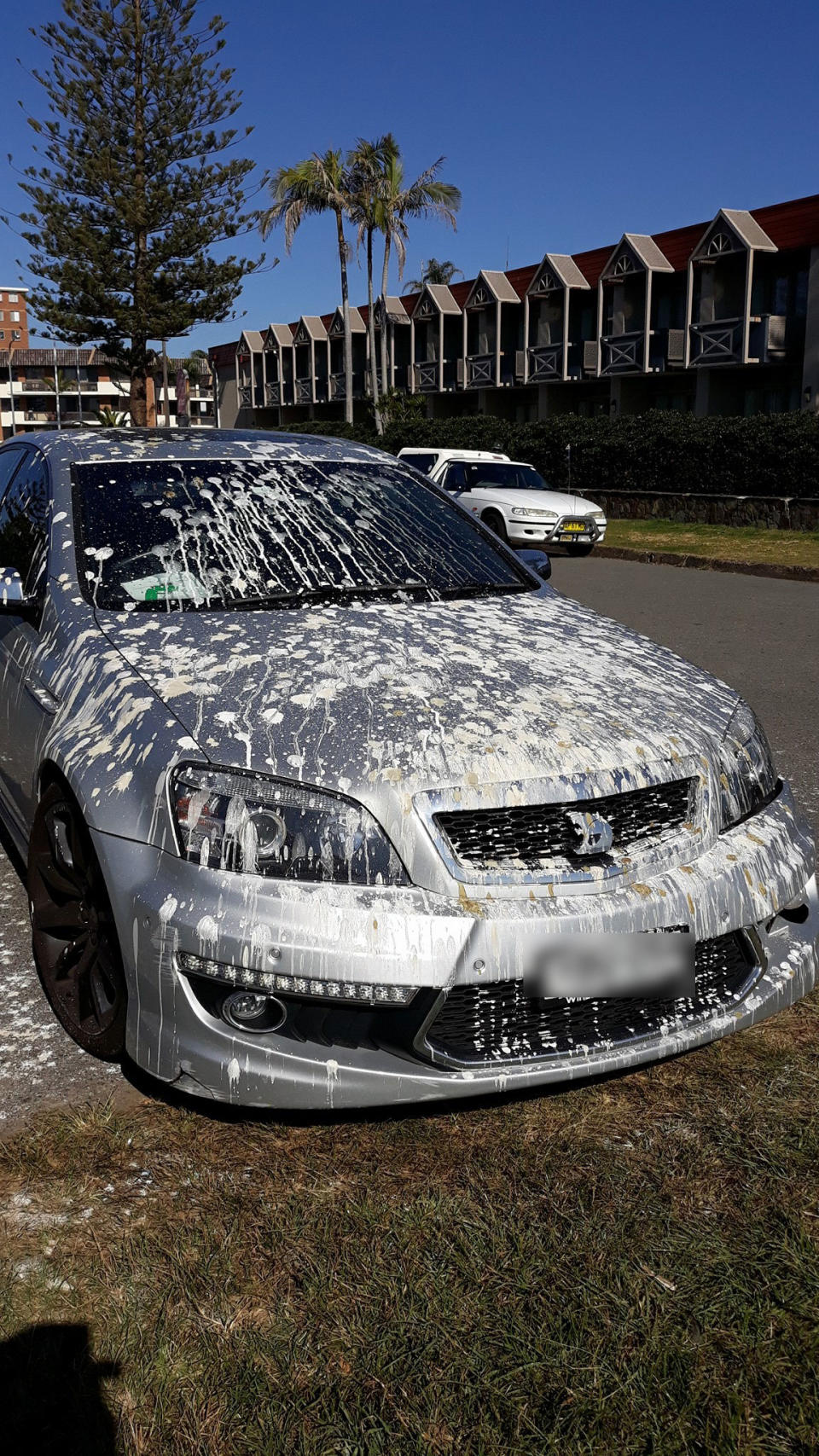 Silver Holden shown covered in pelican poo after a driver left in parked in Port Macquarie.