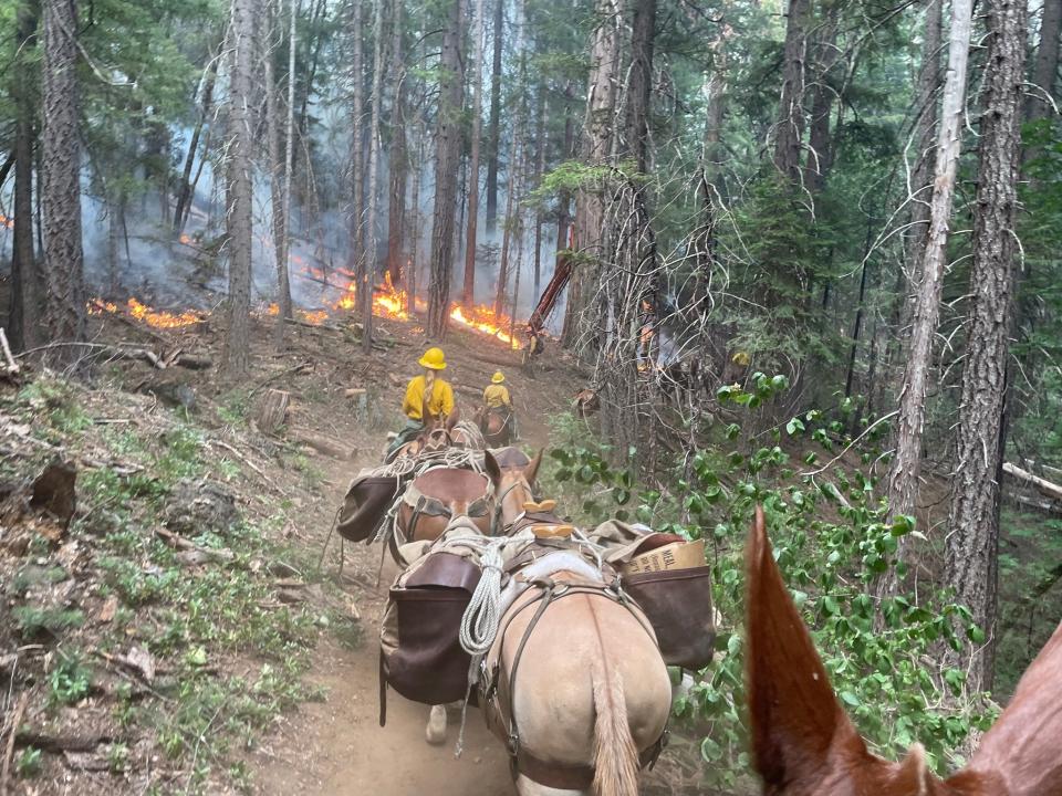 Crews ride in on horseback on Sunday, Aug. 20, 2023, to access the Deep Fire that is burning in Trinity County northwest of Trinity Lake.