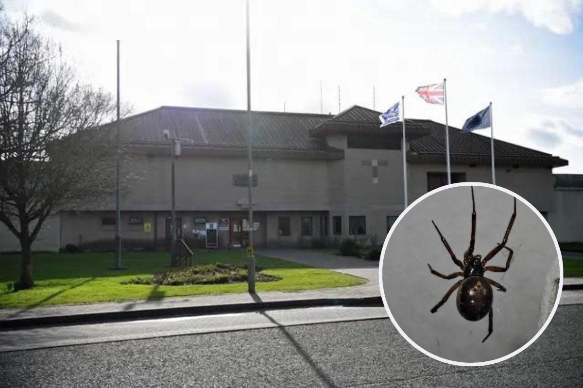 HMP Bullingdon and inset false widow spider <i>(Image: David Short/Flickr)</i>