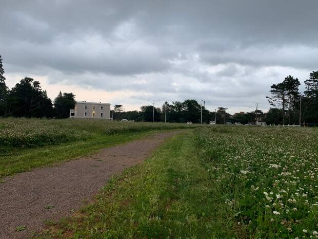 The City of Charlottetown is planning to develop the former Prince Edward Home site as a green space that would be connected to Victoria Park. (Shane Ross/CBC - image credit)