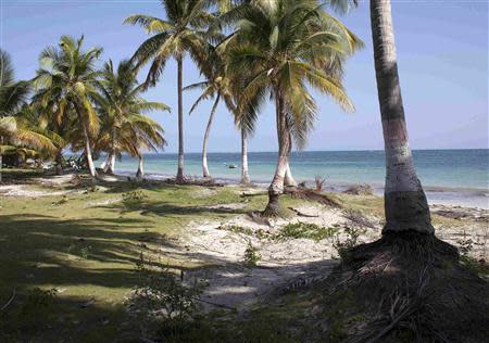 A view of Sable Blanche Beach on Ile-a-Vache island, off Haiti's south coast, March 25, 2014. REUTERS/stringer