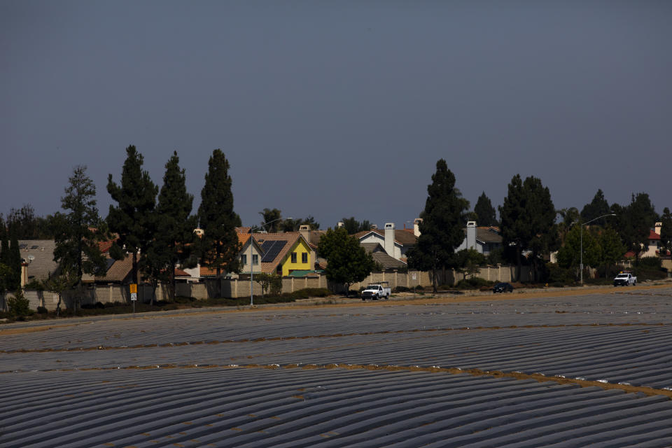 In this Tuesday, Sept. 4, 2018, photo, pickup trucks run between farmlands and residential areas in Salinas, Calif. Salinas is an affordable location compared to Silicon Valley, where median home prices are about $1 million, but with a less-wealthy population and a median home price that has ballooned to about $550,000, it's one of the least affordable places in America. (AP Photo/Jae C. Hong)