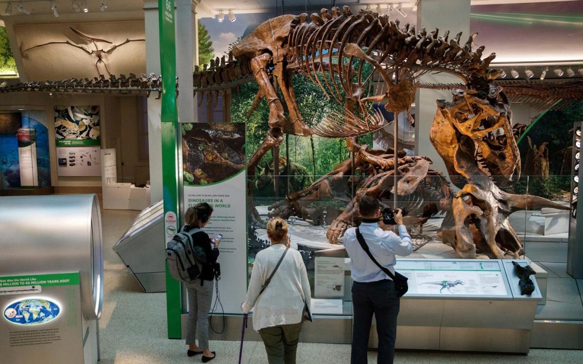 T. rex Fossil Skeleton Will Arrive at Smithsonian April 15