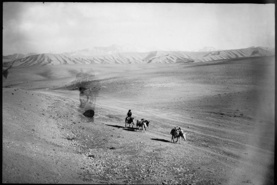 An Afghan nomad, known as a Kuchi, leads his donkeys in Bamiyan province, Afghanistan, Saturday, June 17, 2023. (AP Photo/Rodrigo Abd)