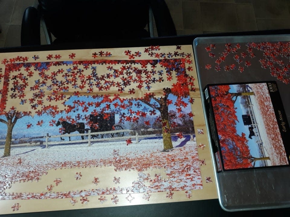 Lovina and her family enjoy putting together jigsaw puzzles in their spare time.