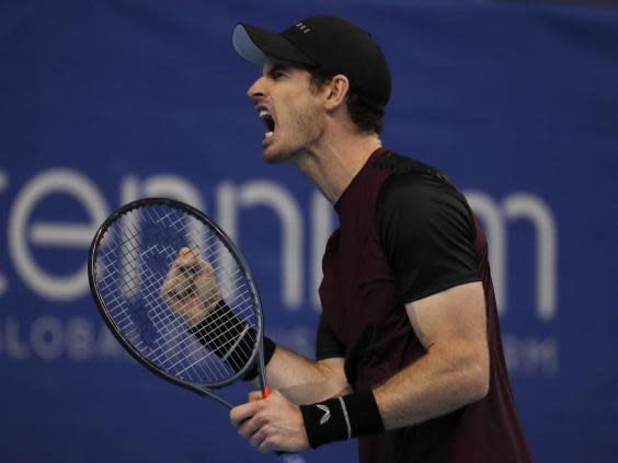 Andy Murray roars during his victory in Antwerp (AP)