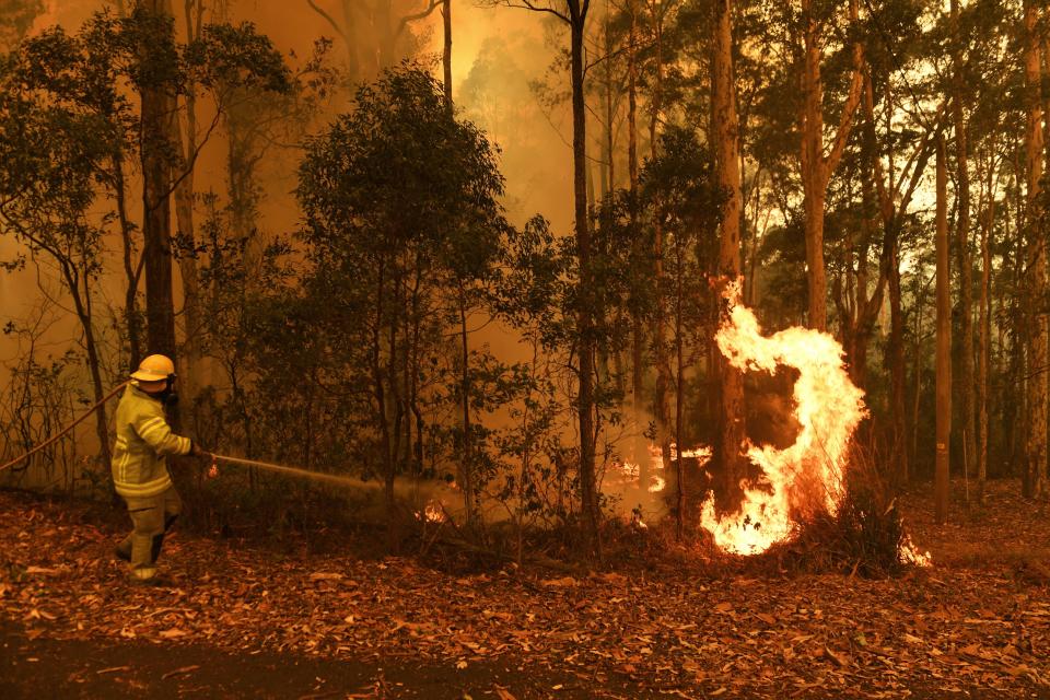 TOMERONG, AUSTRALIA - JANUARY 04: (AUSTRALIA OUT): Northern Territory Fire and Rescue work on the Eastern fringes of the Currowan fire at Tomerong on January 4, 2020 in Tomerong, Australia. A change in south-westerly winds have been sparking up fire activity in the area. (Photo by Nick Moir/Sydney Morning Herald/Fairfax Media via Getty Images)