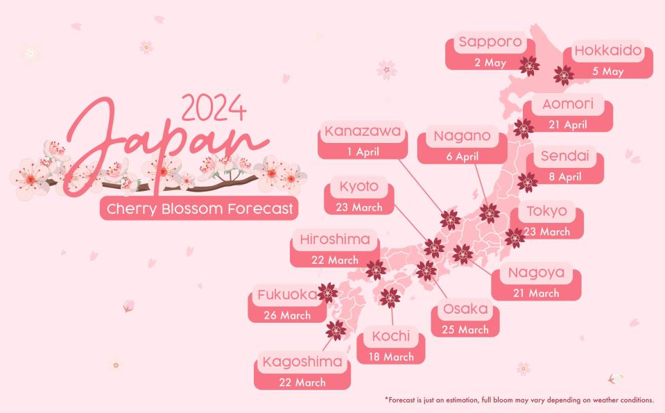 Cherry blossom 2024 forecast - Japan. (Photo: KKday SG)