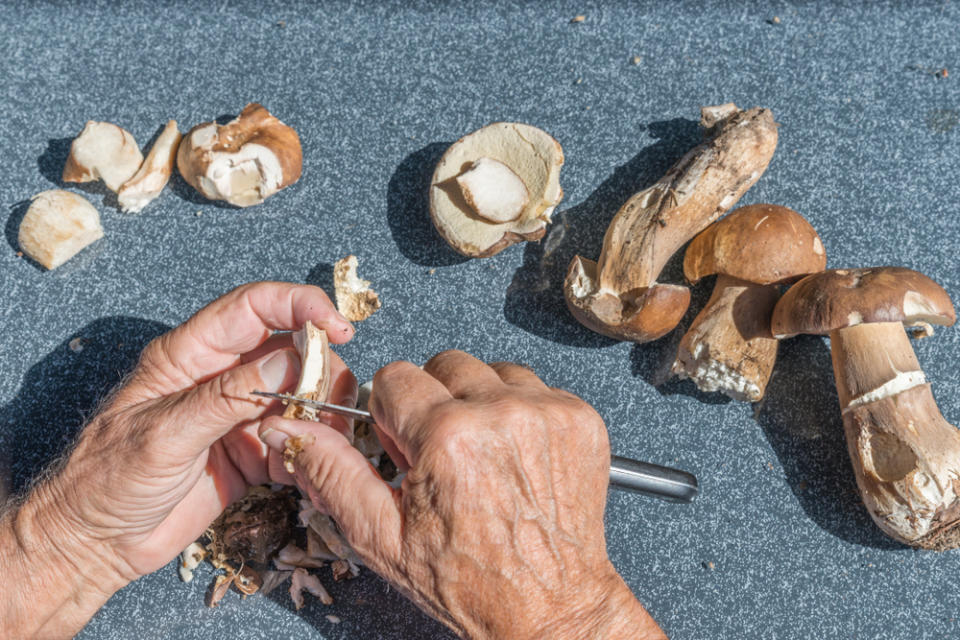 Pelar los hongos y champiñones es una opción factible para quitar la tierra y suciedad de los hongos. 