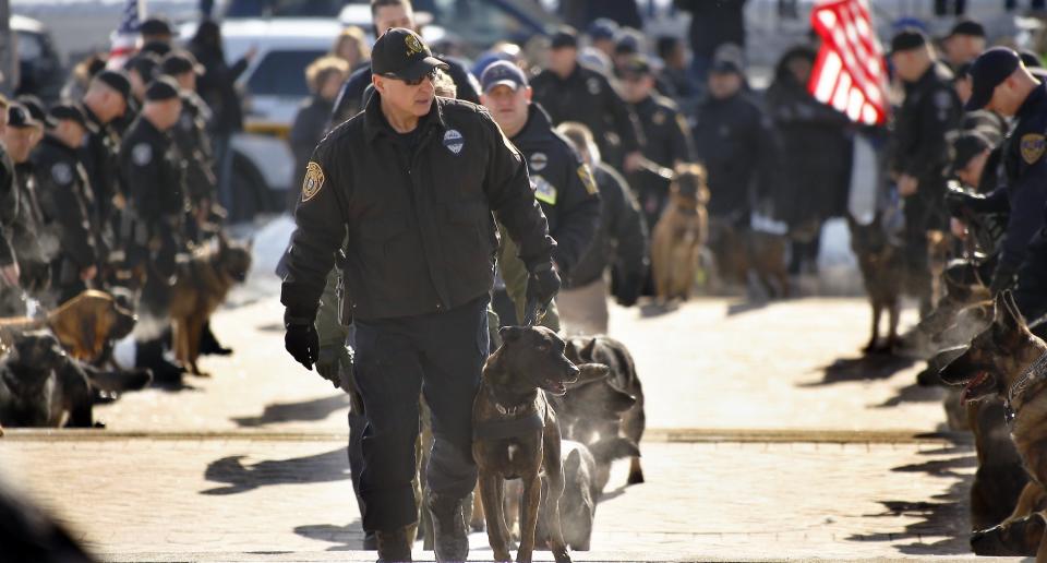 Police officers and their K9 partners assemble for a funeral procession for a Pittsburgh police dog on Friday, Feb. 7, 2014, in Pittsburgh. Rocco was an 8-year-old German Shepherd that died Jan. 30, two days after being stabbed by a fugitive suspect during an arrest. (AP Photo/Keith Srakocic)