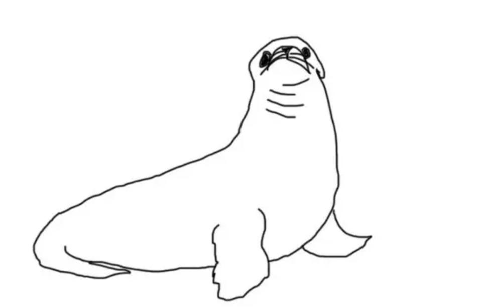 Seal