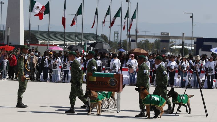 Hero’s Send-Off for Turkey Earthquake Rescue Dog