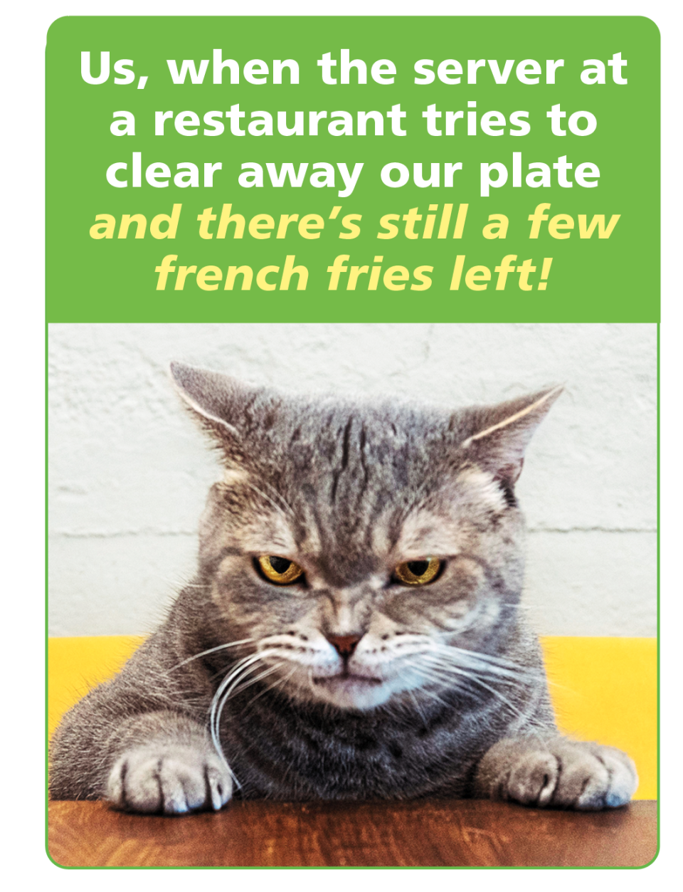 Diet Jokes, Step Away From The Plate 