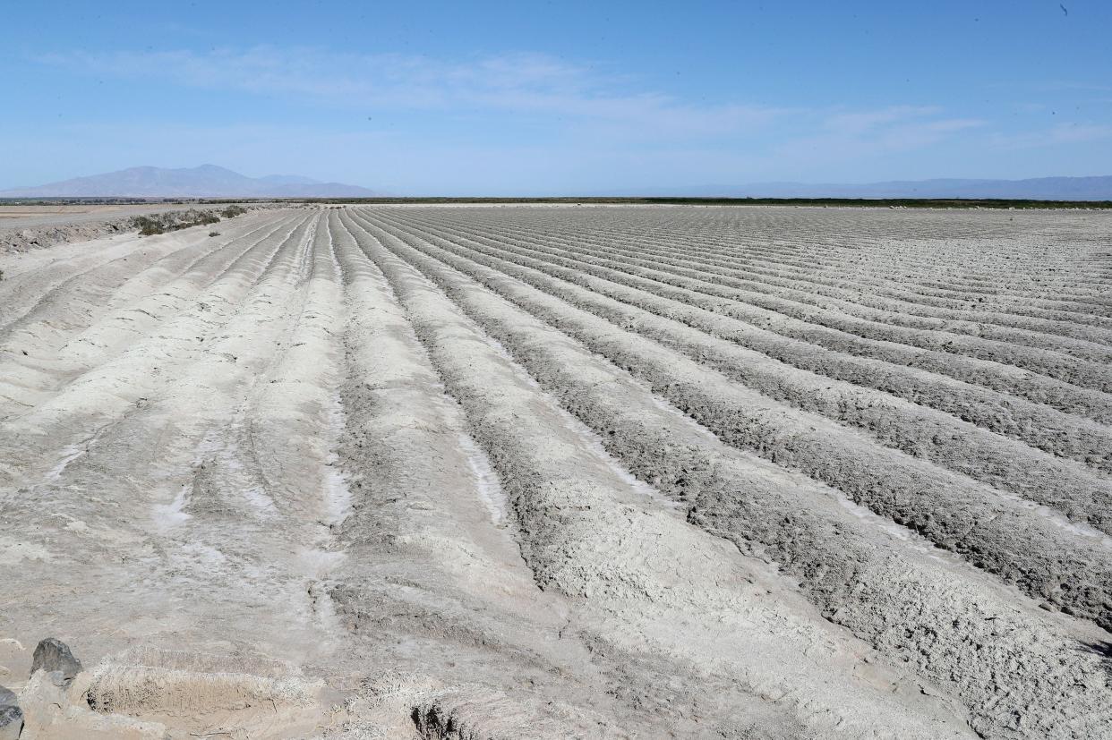 Acres of trenches have been created to help control the dust on this land that at one time was covered by the Salton  Sea's water.  This area is on the sea's south end in 2019.