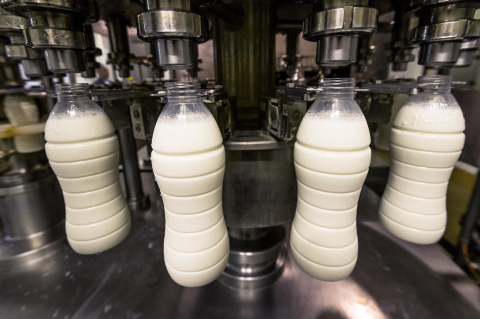 Muchos productores de leche se enfrentan a la reducción de sus producciones. (Foto: Getty Images)