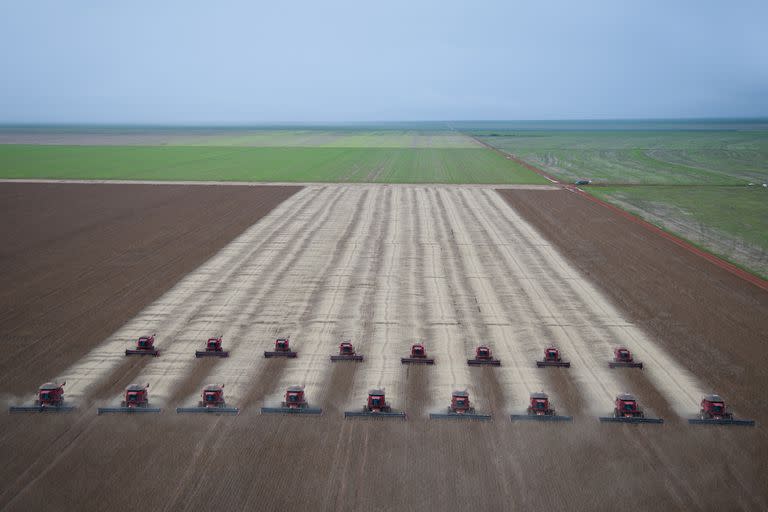 El objetivo puesto para el momento de la cosecha es alcanzar un récord de 150 millones de toneladas