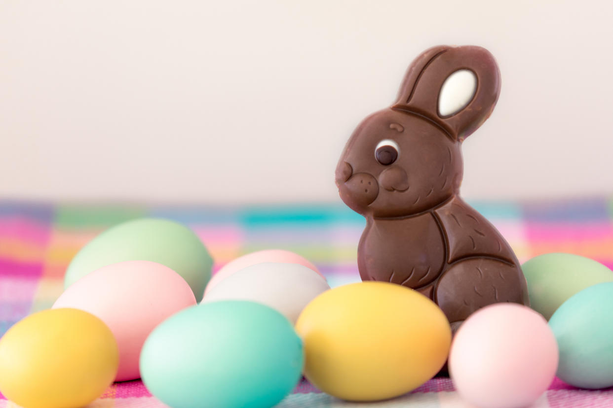 Chocolate Easter bunny