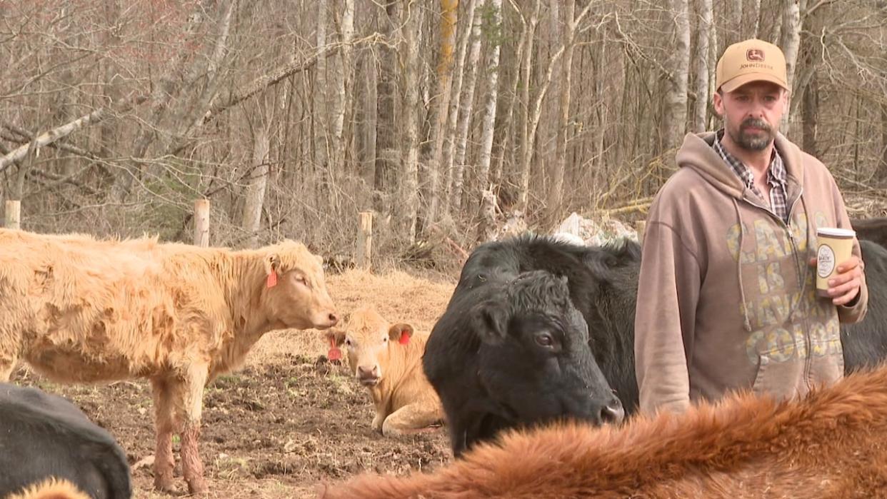 'This is an issue that needs to be resolved immediately,' says farmer John Gallant. (Sheehan Desjardins/CBC News - image credit)
