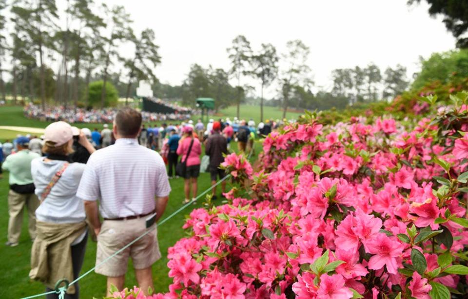 Patrons stand near azaleas near the 16th green during the first practice round of The Masters Tournament at Augusta National Golf Club, Monday, April 8, 2019, in Augusta, Georgia.